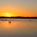 Sunset on Lake at Siwa Oasis