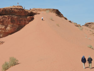 Jordan Tour Sand Dune Wadi Rum 