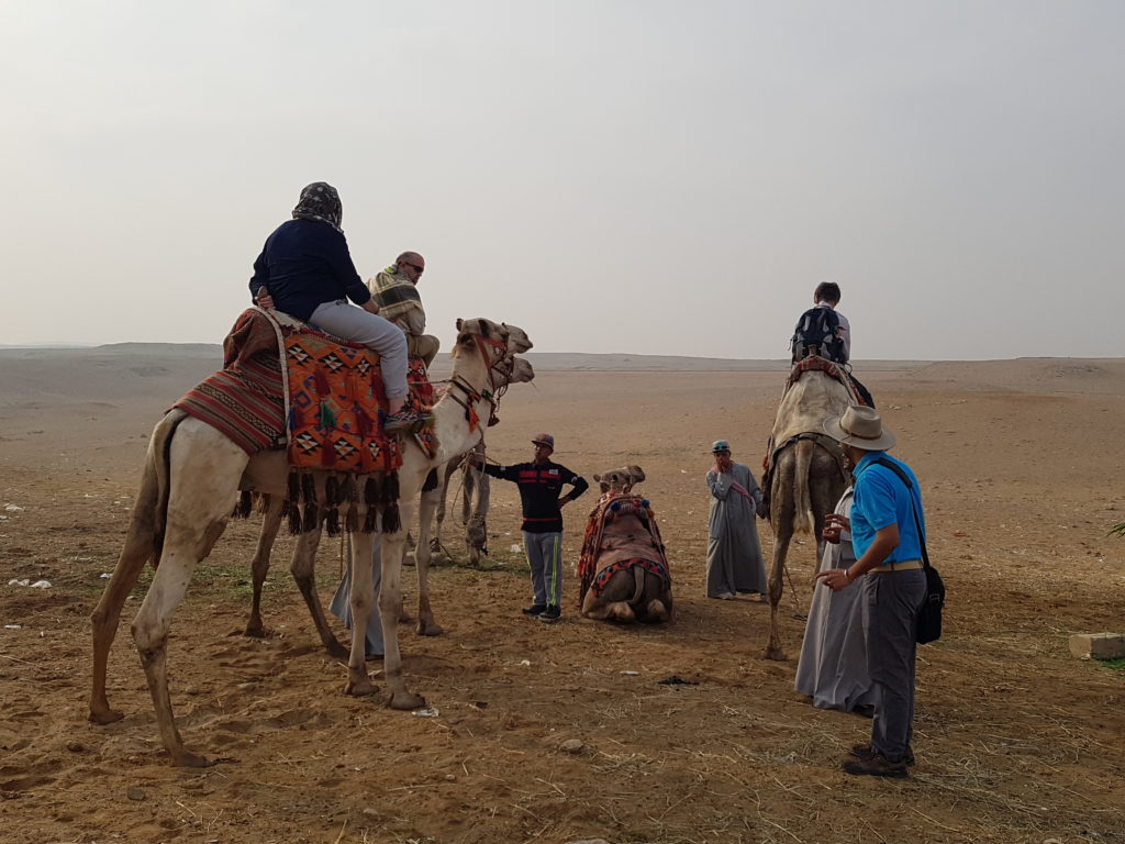 Egypt Holidays camel riding at the pyramids